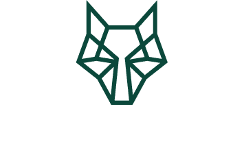 Alpha Insure Logo